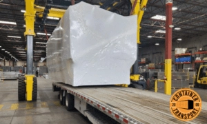 Government Container Shipping